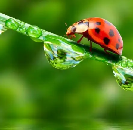 步入10月,4属相运势上涨,喜上加喜,生活平安顺遂,富贵吉祥