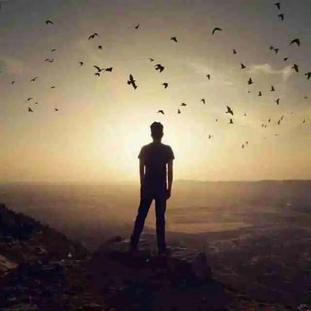 如何调节自己失落的情绪