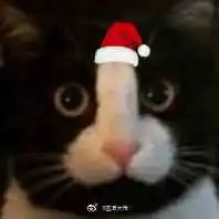 轻松一刻劫匪抢银行当街撒钱,高喊圣诞快乐