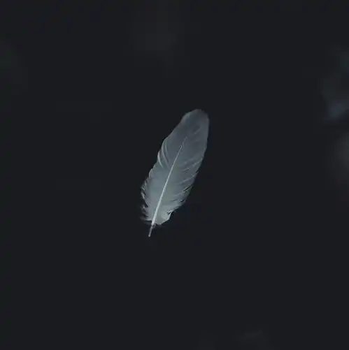 气质高冷的极品女神,美爆了