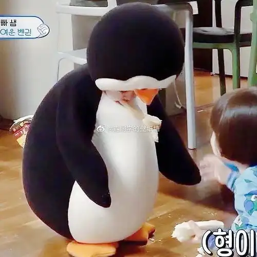 集美们帮我看看这是情头吗