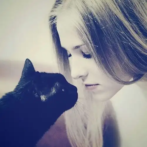 女生的小猫头像图片