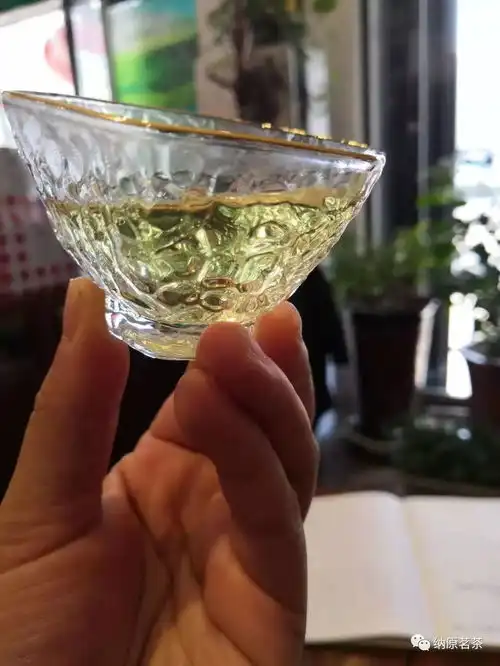 愿花时间在喝茶上,像茶一样活着
