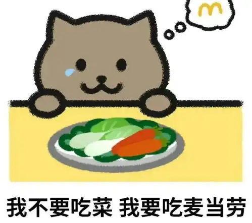 原来谭某竹喜欢女生,多位女孩酒吧作证,可怜胖猫的51万
