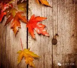 禅茶一味以恭敬心喝一杯茶,禅意而养生