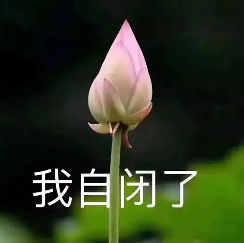 自闭头像女表情包