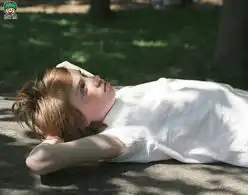 创意摄影宠物云