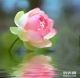 各种保险车险寿险18年老业务员诚信价优险种量身定做