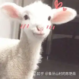男生的那些行为在女生的眼里很加分