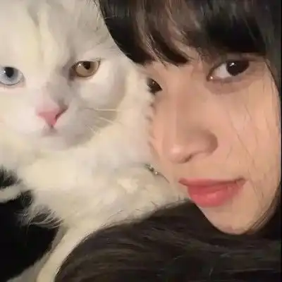 夏天阳光的可爱女头