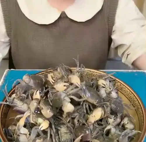 美女为了吃发财蟹拿出二十年的酒呛发财蟹,厉害