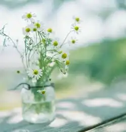 下半年你的专属招财植物是什么