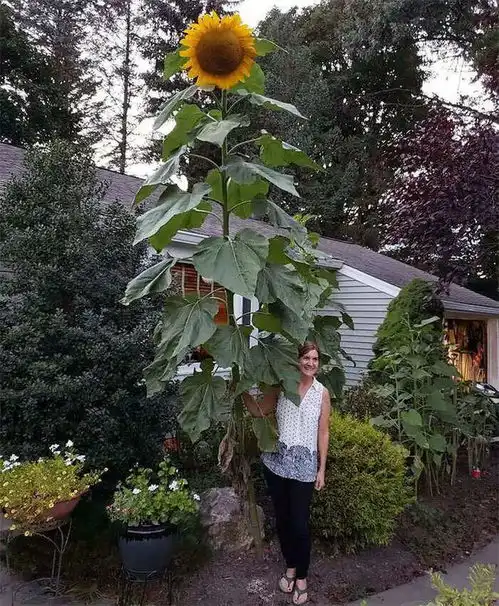 30组惊艳图片,让你发现隐藏的美景