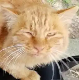 熊孩子,你这是在用灵魂答卷么