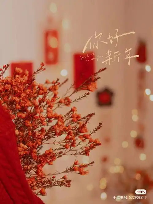 摄影技巧怎么拍新年氛围感照片一定要突出红色元素