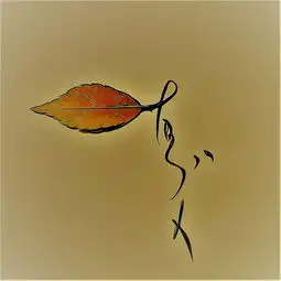 你的名字,一叶一花的姓氏47