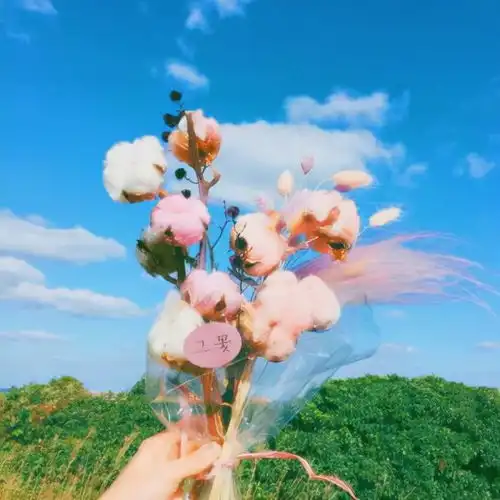 男人的喜欢和爱是不同的,真心爱你的人,是如此模样