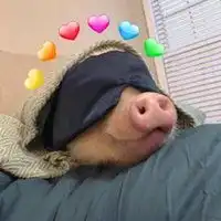 乐橙lc8娱乐各种沙雕头像沙雕头像女生一套四个微信头像图片大全