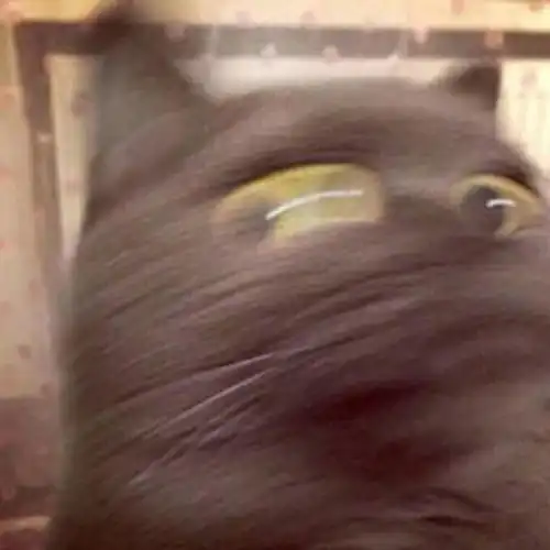 救火现场,小孩求消防员先救作业本