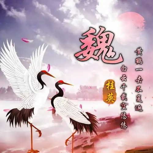头像盘它,带走属于你的专属头像