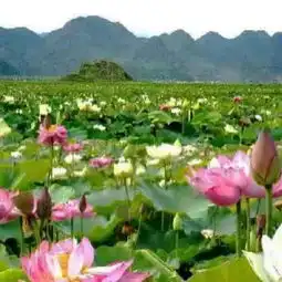 温暖视频直播全集温暖资料大全yy官方