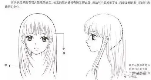 绘画漫画角色基础教程,男生女生各类发型的画法