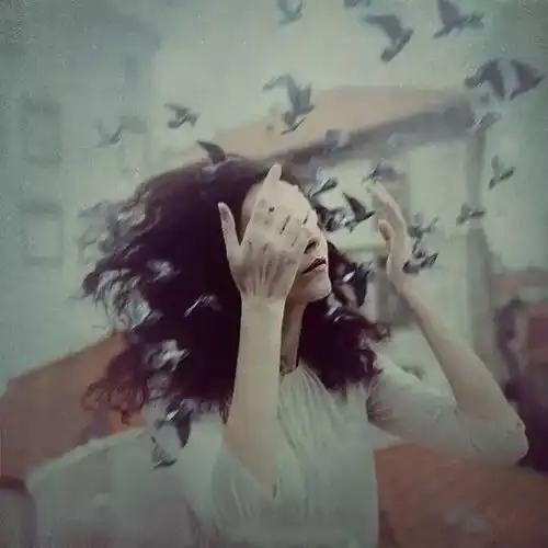 carpediem