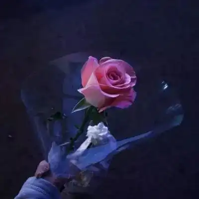 星力捕鱼9代正版摇钱树