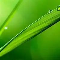 美女头像绿色微信头像图片大全