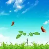家庭微信群潜规则,太形象了,你中招了吗