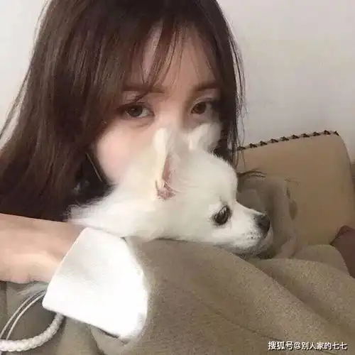 分手文字头像女生发片