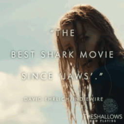 鲨滩比基尼少女徒手撕鲨要逆天