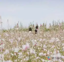 红颜遇知己