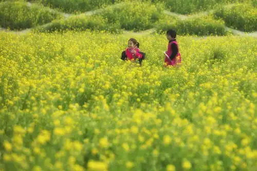 秋意袭来,福州这几个极具特色的公园,让你在家门口感受秋天鱼说榕城