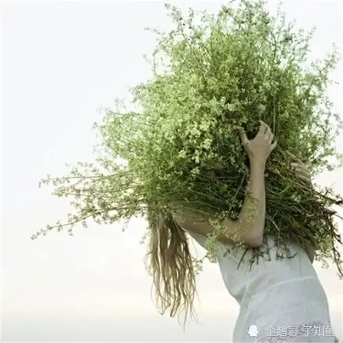 自在自我的星座女生风格百变,气质迷人,在爱情中佛系又逞强