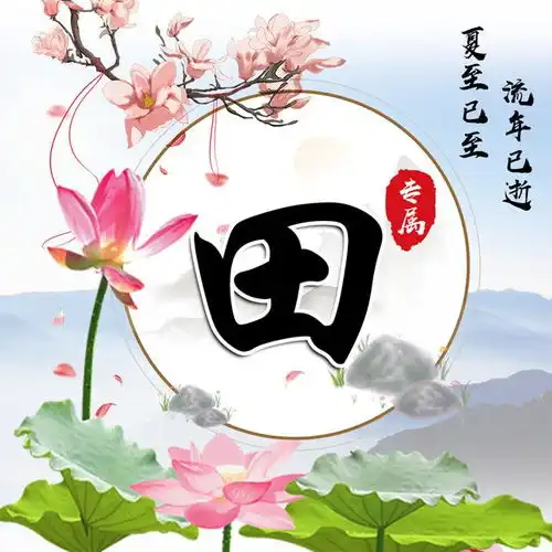 盛夏荷塘,送给你12张姓氏头像,中国风大气简约风格