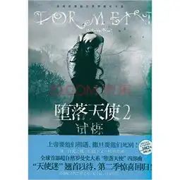 堕落天使的介绍