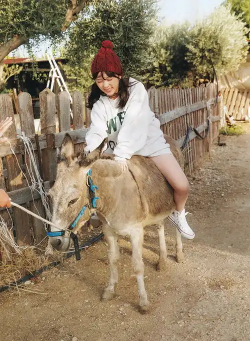 写真沉默的时间鉴赏与田祐希