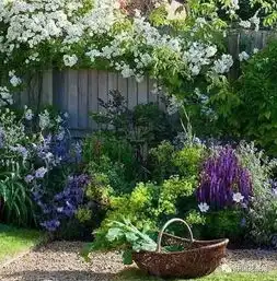 百毒不侵,往往会被一句简单的安慰打败