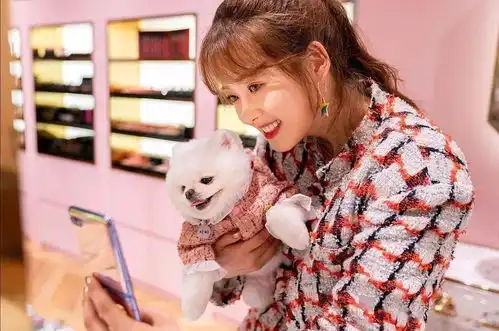 八部新韩剧来袭,9.2分高分剧即将回归