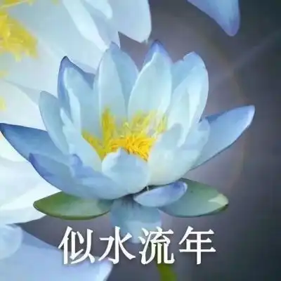 女佛头像法拉