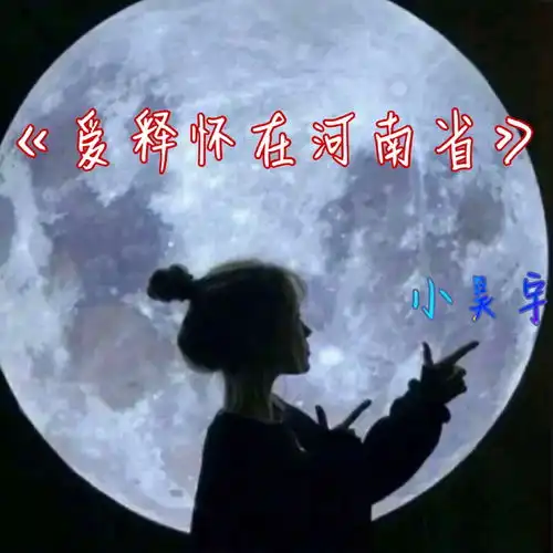 爱释怀在河南省小昊宇高音质在线试听爱释怀在河南省歌词歌曲下载酷狗音乐