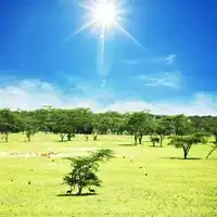 微信头像风景蓝天草绿草地美丽风景