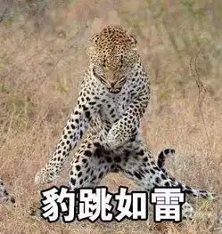 非常豹笑梗表情包无水印版