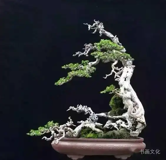 心存善良,则无可恨之人