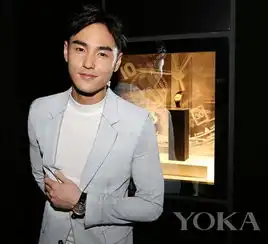 阮经天代言手表