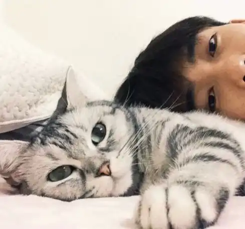 男生背着猫背影头像