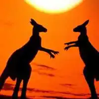 情侣头像卡通呆萌一对动物微信头像图片大全