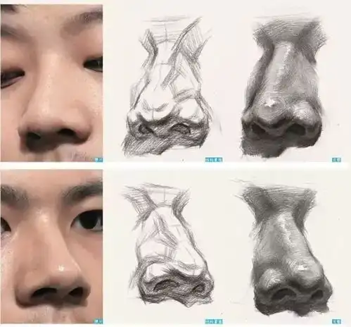 素描课堂素描五官详解鼻子塑造篇