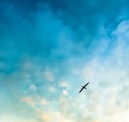 千万别当知识分子中的祥林嫂